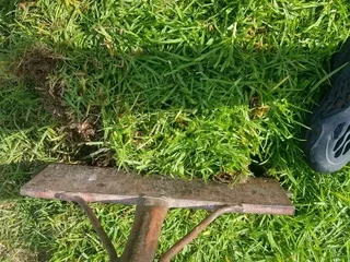 Kikuyu grass and etc