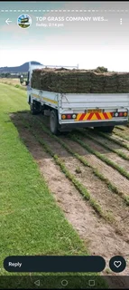 Kikuyu grass and etc