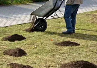 Compost, topsoil and Lawn dressing