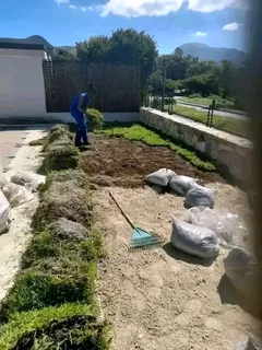 Kikuyu grass and etc