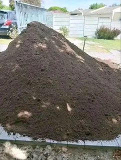 Kikuyu grass and etc