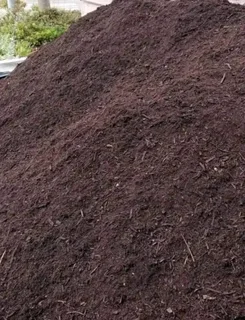 Kikuyu grass and etc