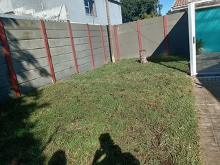 Kikuyu grass and etc is