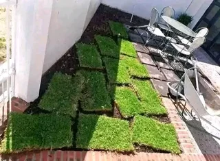 Kikuyu grass and etc is