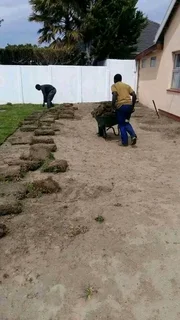 Kikuyu grass and etc is