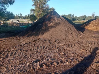 Kikuyu grass and etc is