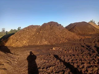 Kikuyu grass and etc is