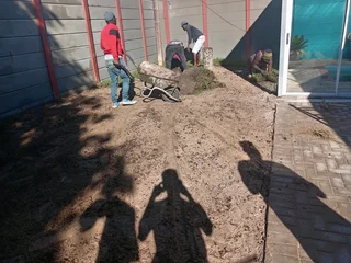 Kikuyu grass and etc is