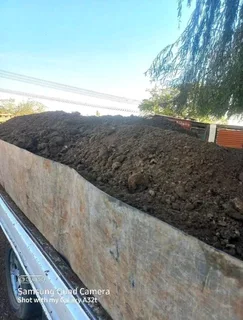 Kikuyu grass and etc