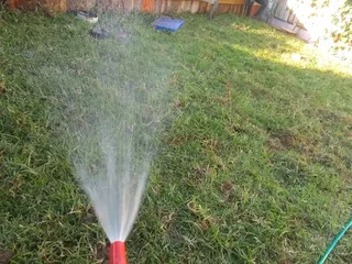 Kikuyu grass and etc