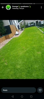 Kikuyu grass and etc