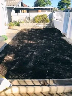 Kikuyu grass and etc