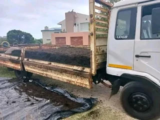 Kikuyu grass and etc