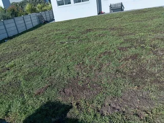 Kikuyu grass and etc