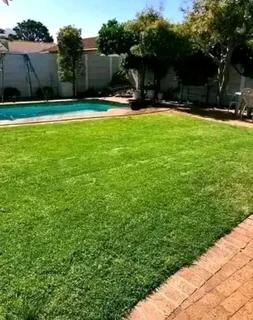 Kikuyu grass and etc