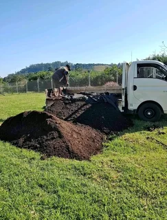 Kikuyu grass and etc