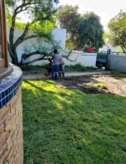 Kikuyu grass and etc