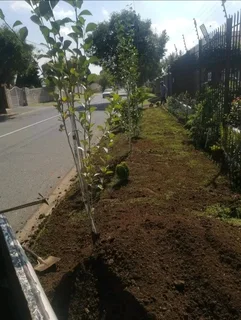 Compost, topsoil and Lawn dressing
