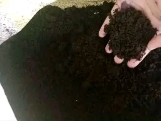 Compost, topsoil and Lawn dressing