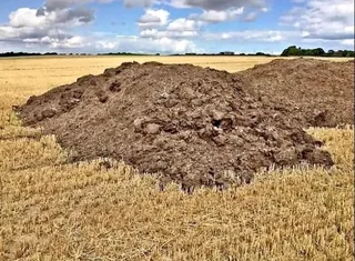 Compost, topsoil and Lawn dressing