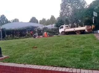 Kikuyu grass and etc