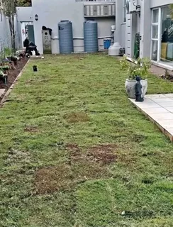 Kikuyu grass and etc