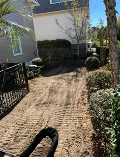 Kikuyu grass and etc