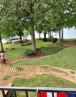 Kikuyu grass and etc