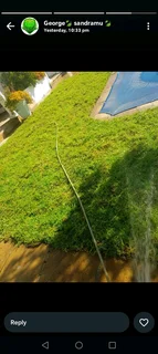 Kikuyu grass and etc