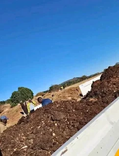 Compost, topsoil and Lawn dressing