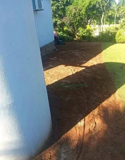 Kikuyu grass and etc