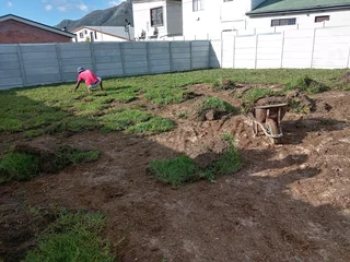 Kikuyu grass and etc