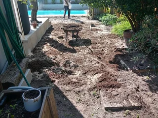 Kikuyu grass and etc