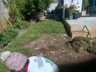 Kikuyu grass and etc