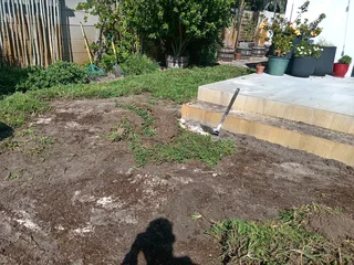 Kikuyu grass and etc