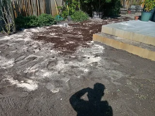 Kikuyu grass and etc