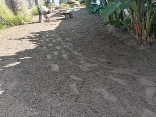 Kikuyu grass and etc