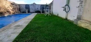 Kikuyu grass and etc