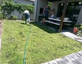 Kikuyu grass and etc