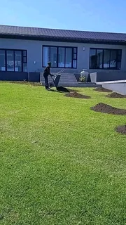 Kikuyu grass and etc