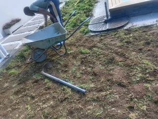 Kikuyu grass and etc