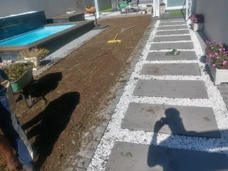 Kikuyu grass and etc