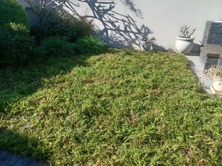 Kikuyu grass and etc