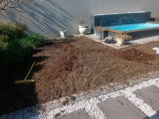 Kikuyu grass and etc