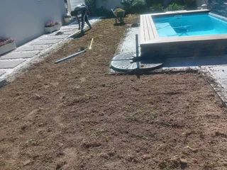 Kikuyu grass and etc