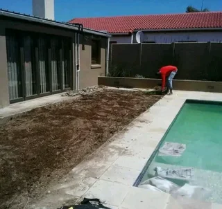 Kikuyu grass Kikuyu grass