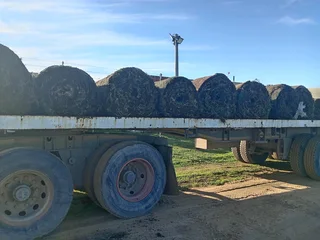 Kikuyu grass and etc