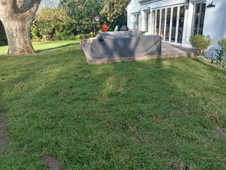 Kikuyu grass and etc