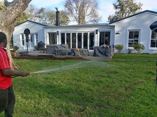 Kikuyu grass and etc