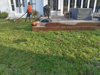 Kikuyu grass and etc